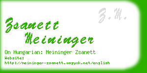 zsanett meininger business card